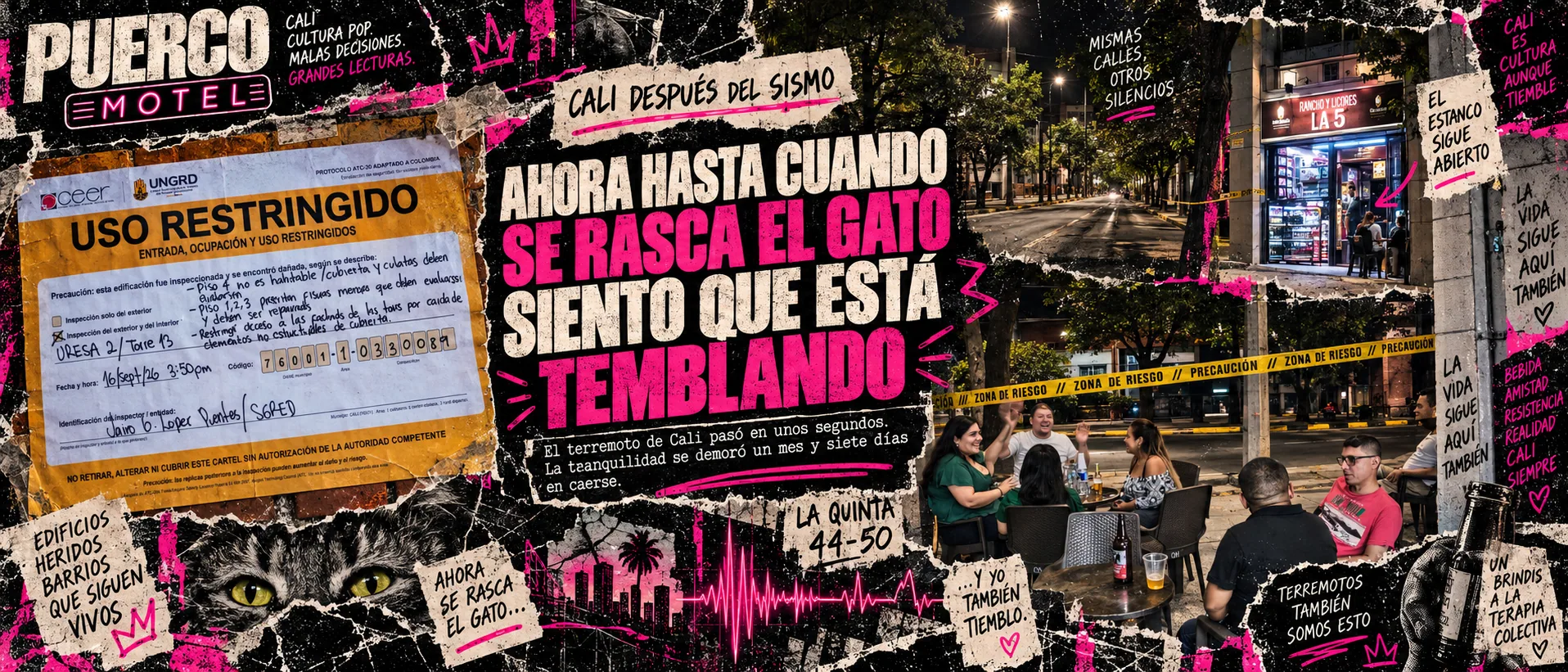 Portada de Ahora hasta cuando se rasca el gato siento que está temblando